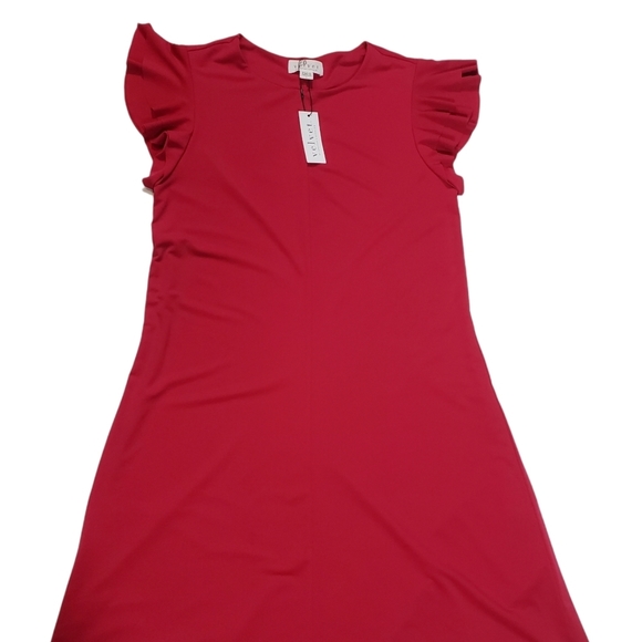 Velvet By Graham & Spencer Raspberry Pink Shift Dress Sz Large Ruffle Sleeve NWT - Picture 5 of 12